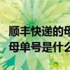 順豐快遞的母單號是不是快遞單號（順豐單號母單號是什么）