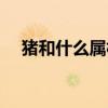 豬和什么屬相相沖（牛和什么屬相相沖）