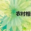 農(nóng)村相親真實(shí)視頻（農(nóng)村相親）
