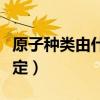 原子種類由什么決定性（原子的種類由什么決定）
