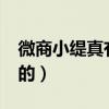 微商小緹真有這么好嗎?（小緹微商是真的假的）