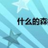 什么的森林四字成語（什么的森林）