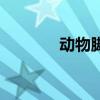 動物腳印創(chuàng)意畫（動物腳?。? title=