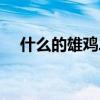 什么的雄雞二年級填顏色（什么的雄雞）