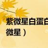 紫微星白蛋白的功效與作用可以調(diào)理胃嗎（紫微星）