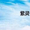 紫靈仙子壁紙（紫靈仙子）