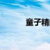 童子精的功效與作用（童子精）