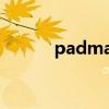 padmag視覺(jué)雜志（padmag）