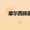 摩爾西族唇盤是什么意思(摩爾西族) 摩爾西族唇盤是什么意思(摩爾西族)