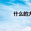 什么的大火形容詞（什么的大火）