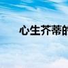 心生芥蒂的說(shuō)說(shuō)（心生芥蒂什么意思）