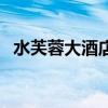 水芙蓉大酒店真實存在嗎（水芙蓉大酒店）
