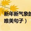 新年新氣象的唯美句子五十字（新年新氣象的唯美句子）