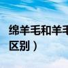 綿羊毛和羊毛的區(qū)別是什么（綿羊毛和羊毛的區(qū)別）