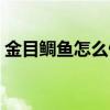 金目鯛魚(yú)怎么做好吃又簡(jiǎn)單（金目鯛的做法）
