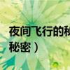 夜間飛行的秘密給我們什么啟示（夜間飛行的秘密）