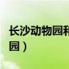 長沙動物園和生態(tài)動物園哪個好玩（長沙動物園）