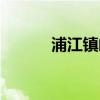 浦江鎮(zhèn)郵編查詢（浦江鎮(zhèn)郵編）