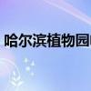 哈爾濱植物園電話號碼（哈爾濱植物園地址）