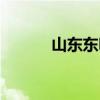 山東東明石化集團(tuán)（山東東明）