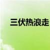 三伏熱浪走 初秋氣象新 滋補養(yǎng)生正當(dāng)時
