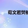 荀文若焚稿斷癡情什么意思（荀文若）