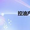 控油產(chǎn)品排行榜（控油產(chǎn)品）