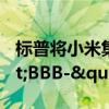 標普將小米集團展望調(diào)整為正面，確認"BBB-"評級