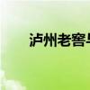 瀘州老窖與上汽在嘉興成立合伙企業(yè)
