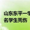 山東東平一學(xué)校門口發(fā)生嚴(yán)重交通事故致十余名學(xué)生死傷