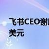 飛書(shū)CEO謝欣：預(yù)計(jì)飛書(shū)2024年ARR超3億美元