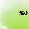 趙小亮北京營銷（趙小亮）