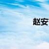 趙安吉福茂集團(tuán)（趙安吉）