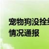 寵物狗沒拴繩嚇哭小孩被爺爺摔死 街道發(fā)布情況通報