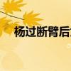 楊過斷臂后為什么突飛猛進(jìn)（楊過斷臂）