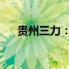 貴州三力：控股股東提前終止減持計(jì)劃
