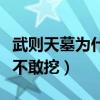 武則天墓為什么不敢挖視頻（武則天墓為什么不敢挖）