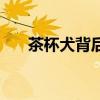 茶杯犬背后的血腥（茶杯犬怎么來的）