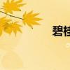 碧桂園開(kāi)始以房產(chǎn)抵債！