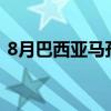 8月巴西亞馬孫原始森林燒毀面積增加132%