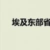 埃及東部省兩列火車相撞 已致3死49傷