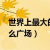 世界上最大的廣場?（世界上最大的廣場是什么廣場）