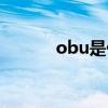 obu是什么部門（obu是什么）