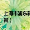 上海市浦東新區(qū)文苑街（上海市浦東新區(qū)文院街）