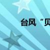 臺風“貝碧嘉”已經進入南京市內