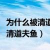 為什么被清道夫清理過(guò)的魚會(huì)死（為什么要?dú)⑶宓婪螋~）