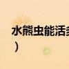 水熊蟲(chóng)能活多長(zhǎng)時(shí)間?（水熊蟲(chóng)能活十萬(wàn)年嗎）