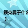領(lǐng)克屬于什么品牌的車型（領(lǐng)克屬于什么品牌）