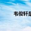 韋俊軒是真愛汪紫棋嗎（韋俊軒）