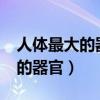 人體最大的器官是哪個?除了皮膚（人體最大的器官）